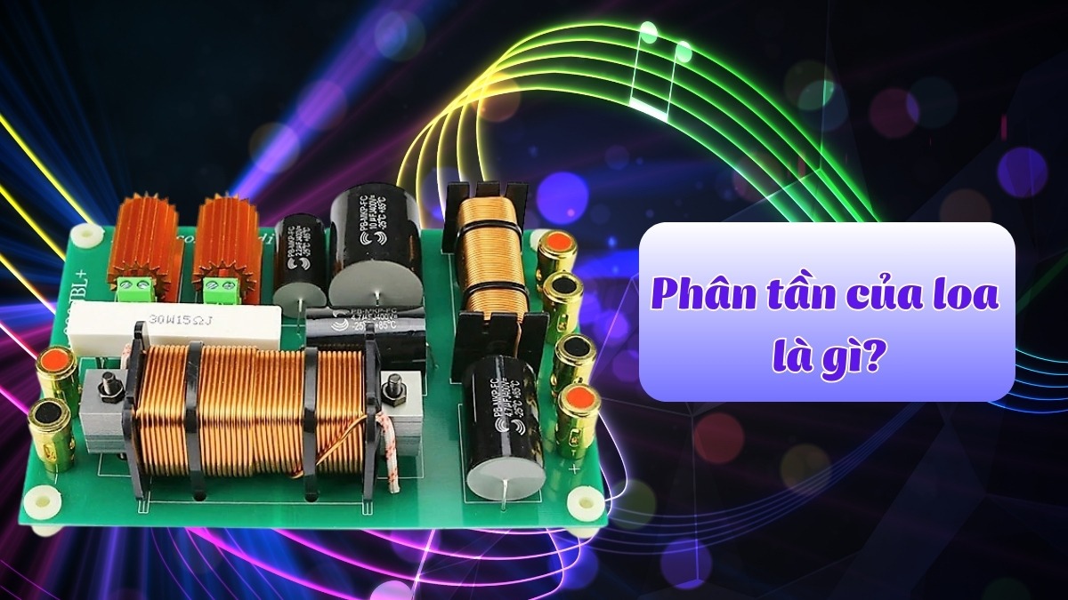 Phân tần của loa là gì? Nguyên lý, phân loại và vai trò